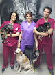 Conoce a Alfa Veterinaria