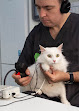 Conoce a Amigato Clínica Felina