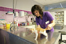 Conoce a Anicura Abros Hospital Veterinario