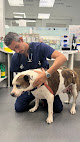 Conoce a Anicura Aitana Hospital Veterinario
