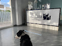 Conoce a Anicura Albea Hospital Veterinario | Urgencias 24H