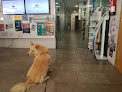 Conoce a Anicura Bofarull Hospital Veterinari | Urgencias 24H
