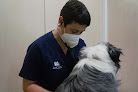 Conoce a Anicura Mediterrani Hospital Veterinari