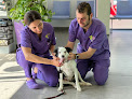 Conoce a Assisvet Veterinària