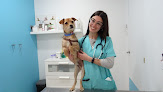 Conoce a Baloo Clínica Veterinaria