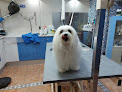 Conoce a Cap I Cua Peluquería Canina