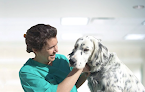 Conoce a Centro Veterinario Ana Martin