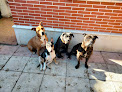 Conoce a Centro Veterinario Boecillo