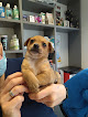 Conoce a Centro Veterinario Castro