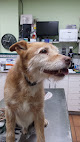 Conoce a Centro Veterinario Don Guau