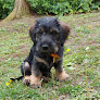 Conoce a Centro Veterinario Marina Del Valle