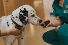 Conoce a Clínica Veterinaria Alborada