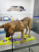 Conoce a Clínica Veterinaria Alhaurín De La Torre