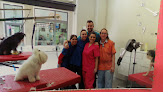 Conoce a Clínica Veterinaria Amigos