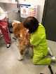 Conoce a Clínica Veterinaria Anida