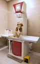 Conoce a Clínica Veterinaria Arandilla