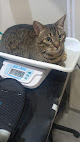 Conoce a Clínica Veterinaria Arealonga