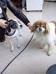 Conoce a Clínica Veterinaria Argüelles