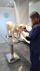 Conoce a Clínica Veterinaria Covadonga