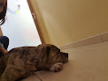 Conoce a Clínica Veterinaria Del Sol | Mivet