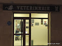 Conoce a Clinica Veterinaria Dulantzi