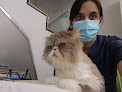 Conoce a Clínica Veterinària Gàtika - Veterinario Hospitalet