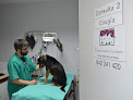 Conoce a Clínica Veterinaria Los Robles