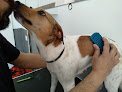 Conoce a Clínica Veterinaria Murcia Norte
