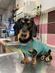 Conoce a Clínica Veterinaria Navascues