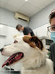Conoce a Clínica Veterinaria Parque Central