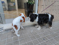 Conoce a Clinica Veterinaria Rajolar