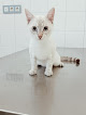 Conoce a Clínica Veterinària Reus Vet