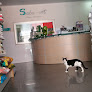 Conoce a Clínica Veterinaria Sabuvet De Aviles