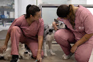 Conoce a Clínica Veterinaria Silla