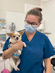 Conoce a Clínica Veterinaria Vet Family
