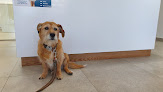 Conoce a Clínica Veterinaria Wecan Agüera