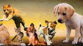Conoce a Clínica Veterinaria Zaindu