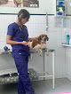 Conoce a Clínica Veterinaria Zalavet | Burlada
