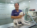 Conoce a Clinicas Veterinarias Avila Fornell Sl