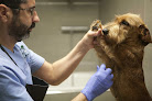 Conoce a Evidensia La Arboleda Hospital Veterinario