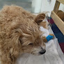 Conoce a Garem Veterinarios Igualada