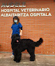 Conoce a Hospital Clínico Veterinario Audele