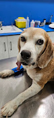 Conoce a Hospital Veterinario Ávila El Puerto - Urgencias Presenciales 24H