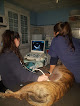 Conoce a Hospital Veterinario Ferral