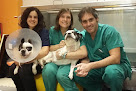 Conoce a Hospital Veterinario Menes