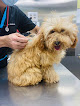 Conoce a Hospital Veterinario Privet Villaviciosa