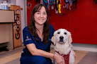 Conoce a Hospital Veterinario Tartanga Unavets Erandio