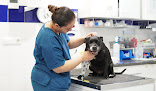 Conoce a Hospital Veterinario Torrent