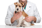 Conoce a Jc1Veterinarios