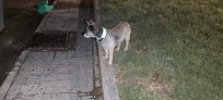 Conoce a Kiwoko. Mundo Animal